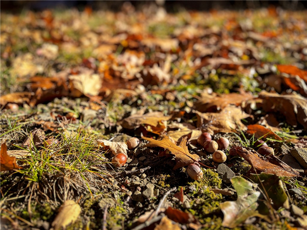 7667 Hickory Bottom Road Naples, NY 14512 - Photo 37 of 49