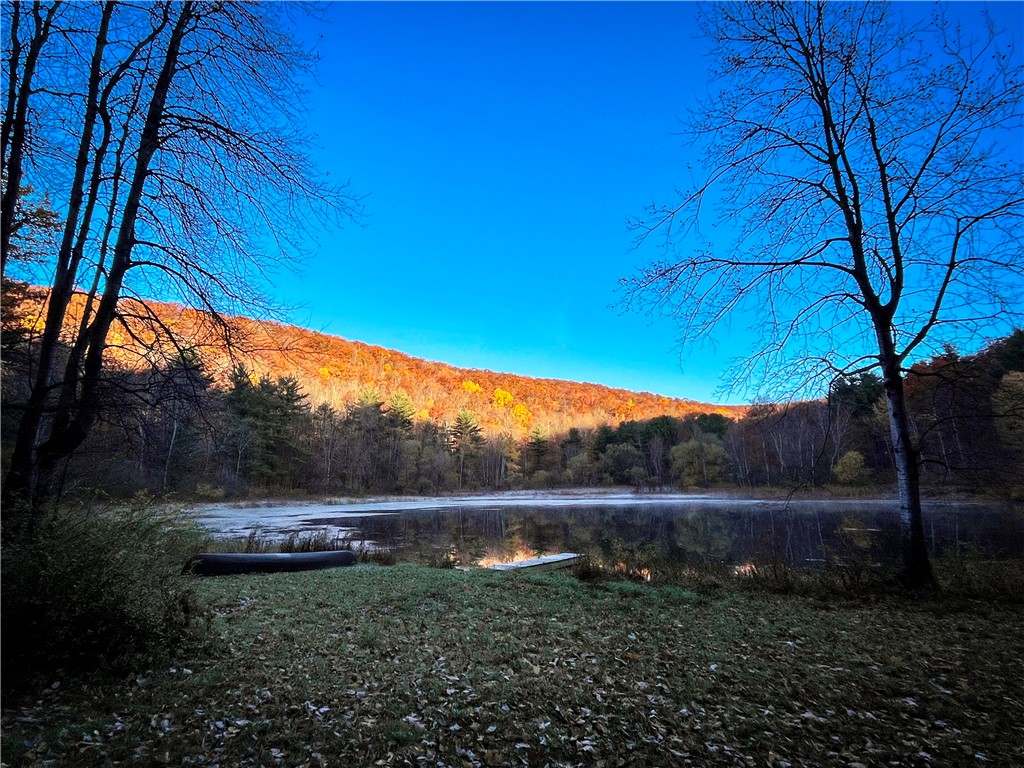 7667 Hickory Bottom Road Naples, NY 14512 - Photo 39 of 49