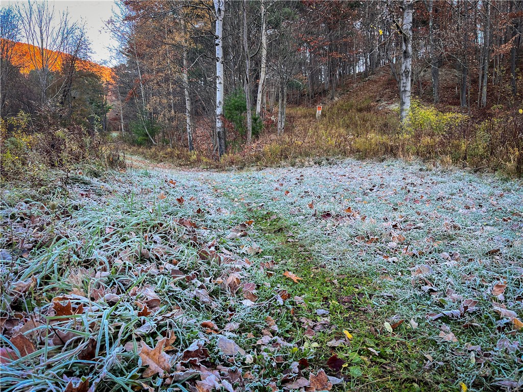 7667 Hickory Bottom Road Naples, NY 14512 - Photo 40 of 49