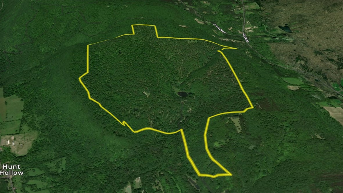 7667 Hickory Bottom Road Naples, NY 14512 - Photo 41 of 49