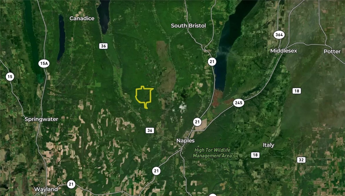 7667 Hickory Bottom Road Naples, NY 14512 - Photo 49 of 49