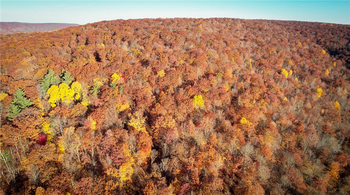 7667 Hickory Bottom Road Naples, NY 14512 - Photo 6 of 49