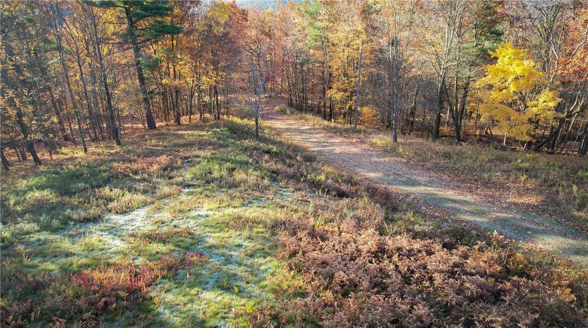 7667 Hickory Bottom Road Naples, NY 14512 - Photo 9 of 49