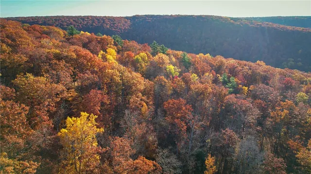 $2,999,900 | 7667 Hickory Bottom Road, Naples, NY 14512