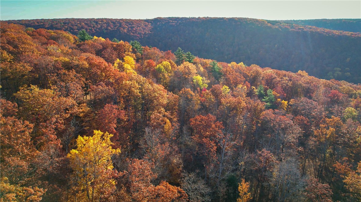7667 Hickory Bottom Road Naples, NY 14512 - Photo 10 of 49