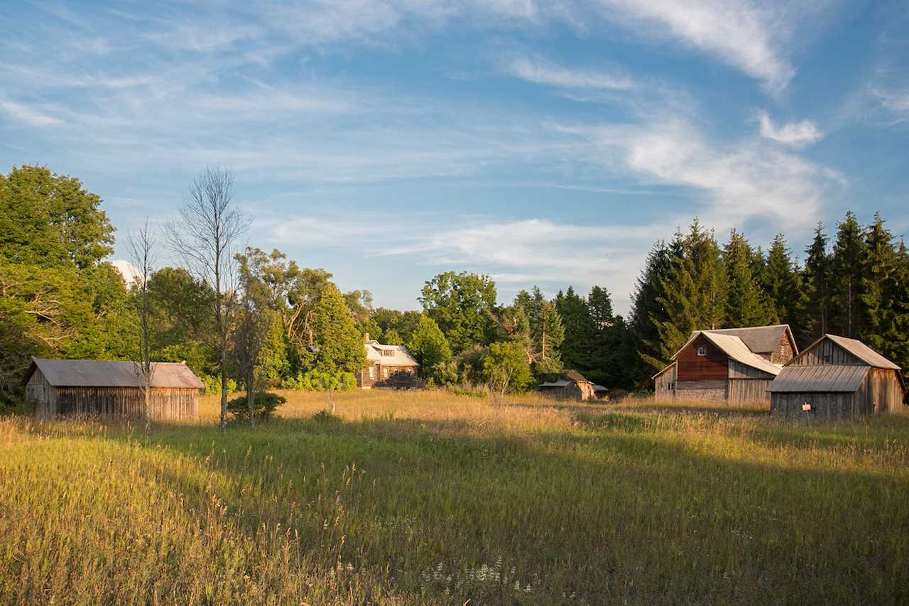 Narlock Road Cedar, MI 49621 - Photo 11 of 35 1837310-10.JPG
