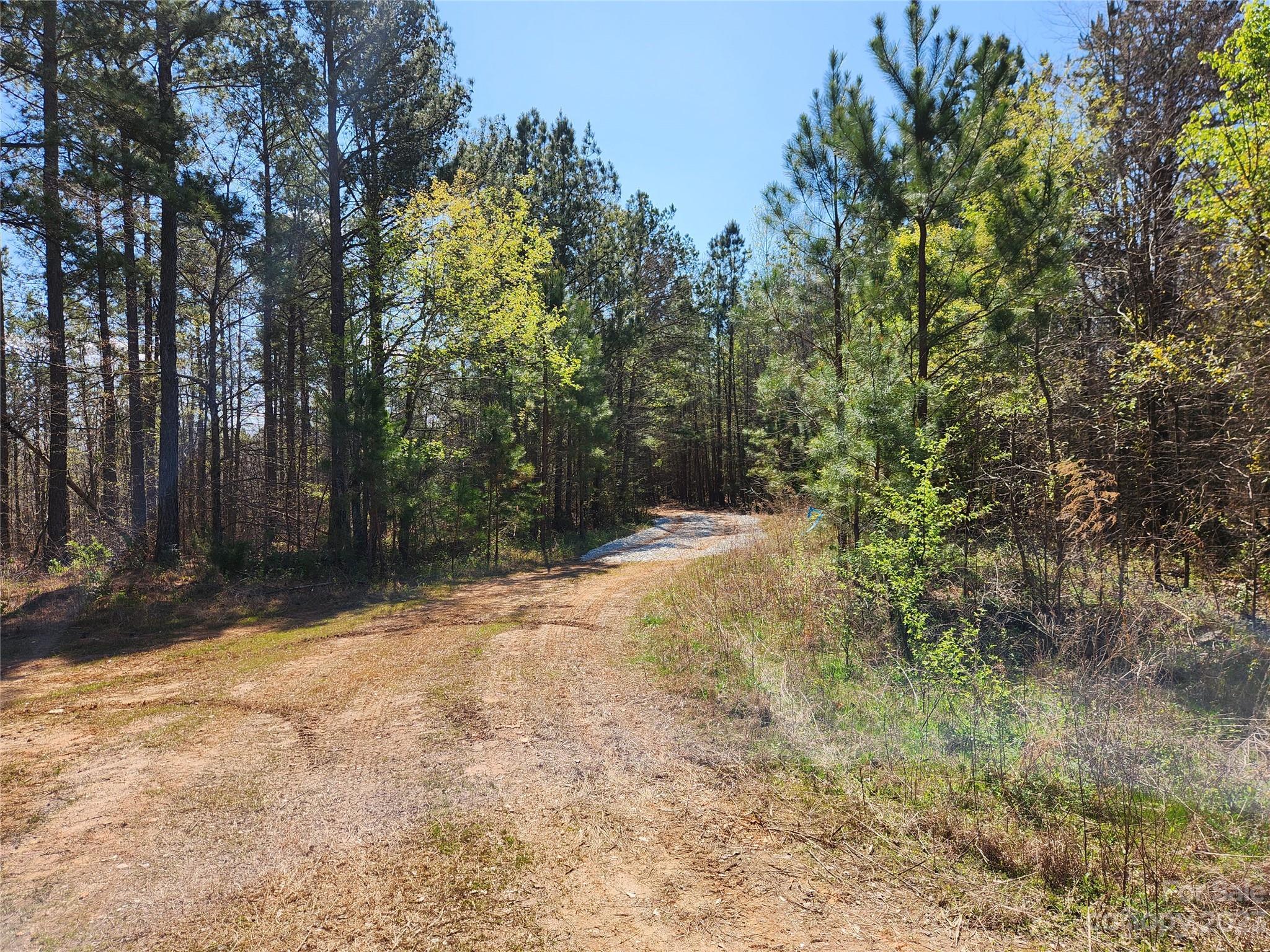 2929 Bettis Road Grover, NC 28073 - Photo 1 of 29 a view of a yard with trees