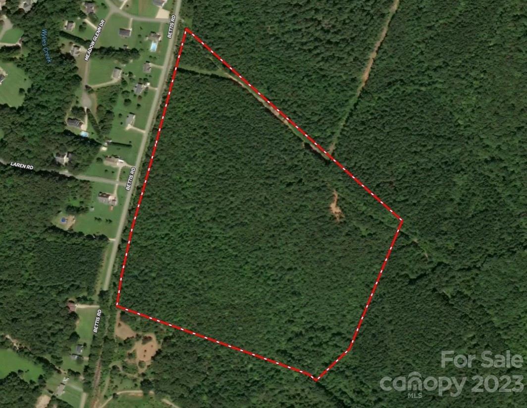 2929 Bettis Road Grover, NC 28073 - Photo 11 of 29 a view of a yard in a garden