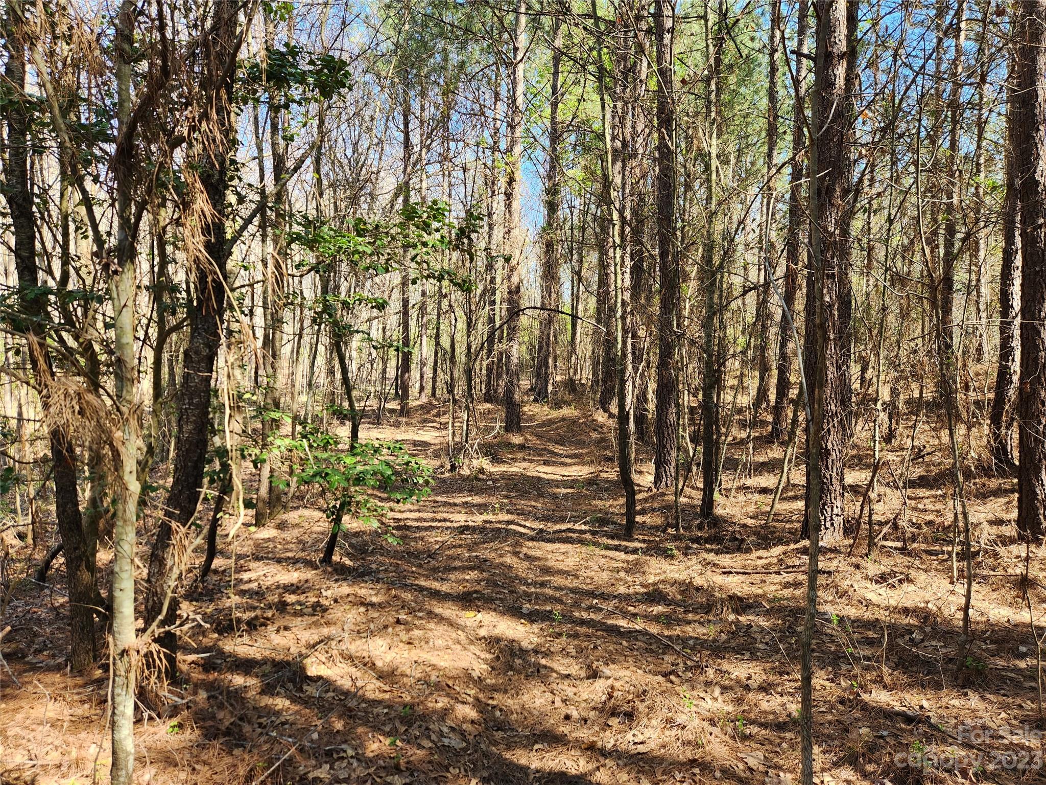 2929 Bettis Road Grover, NC 28073 - Photo 12 of 29 a view of yard
