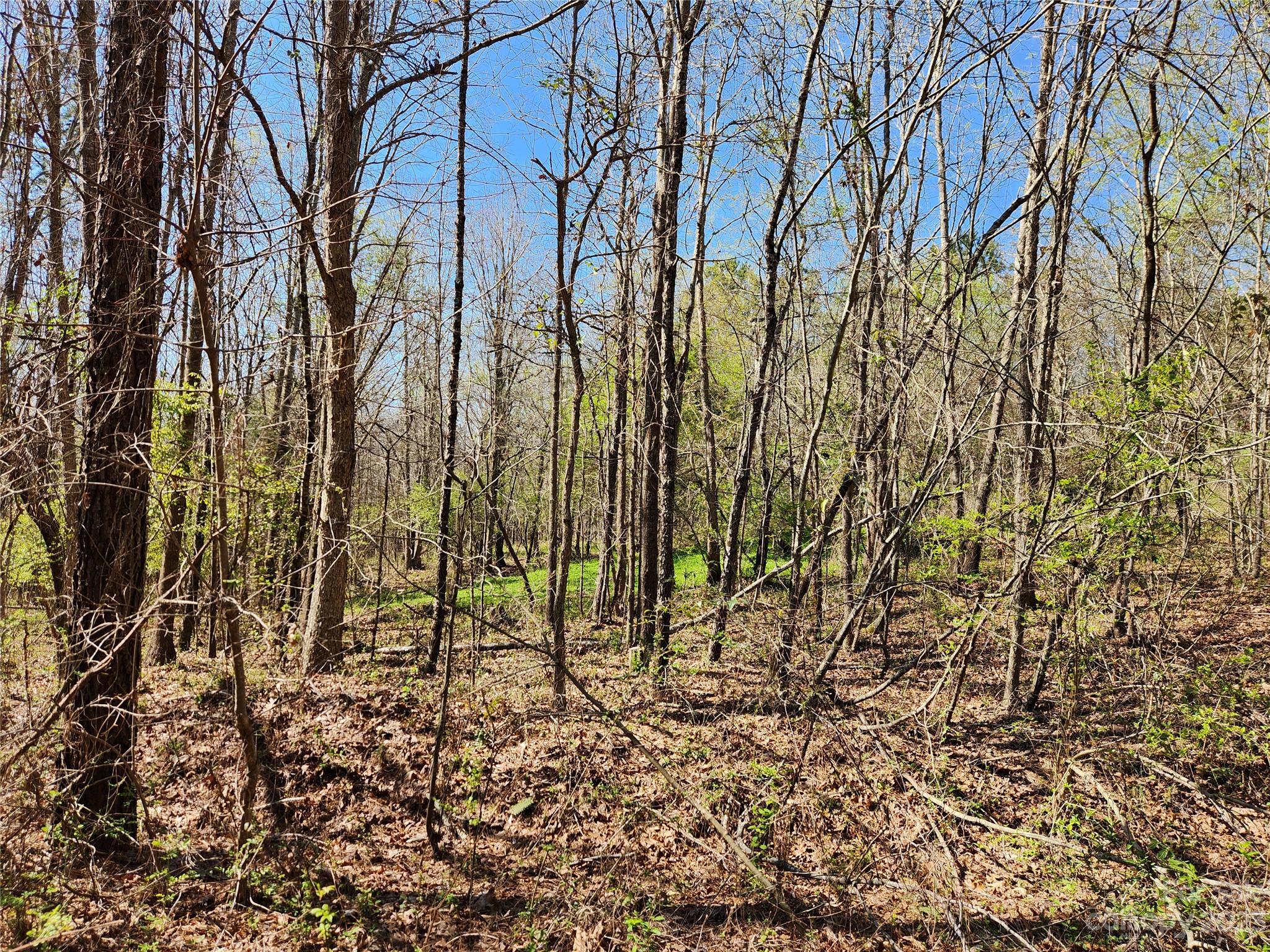 2929 Bettis Road Grover, NC 28073 - Photo 15 of 29