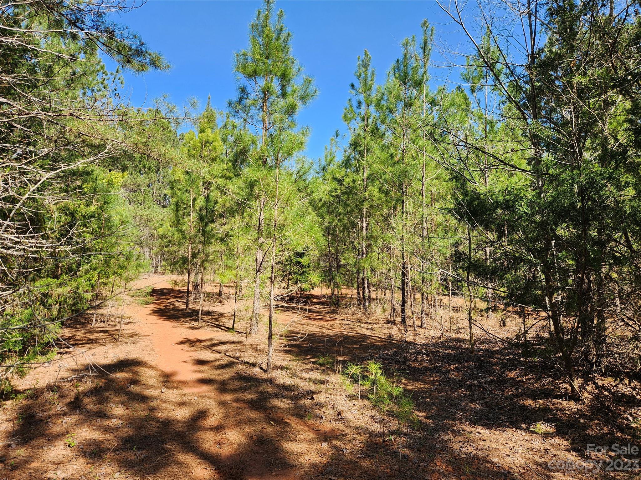2929 Bettis Road Grover, NC 28073 - Photo 17 of 29 a view of road with large trees