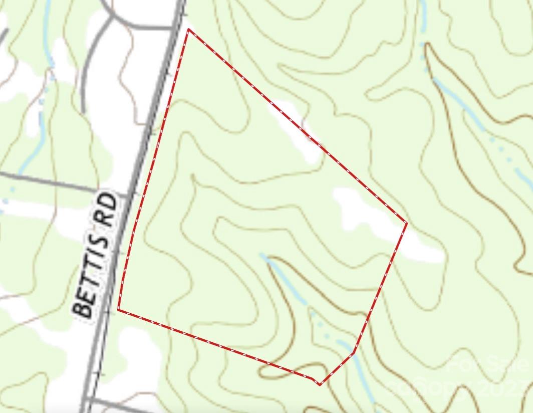 2929 Bettis Road Grover, NC 28073 - Photo 10 of 29