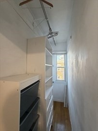 3 Spring Garden Street, Unit 3 Boston, MA 02125 - Photo 11 of 18 Gallery Image 11