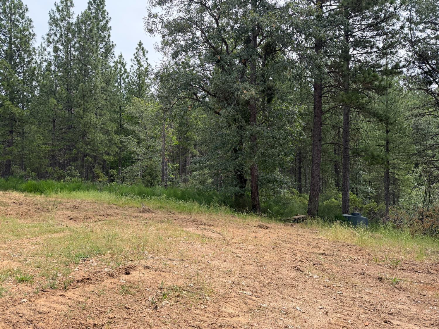 1871 Iowa Hill Road Colfax, CA 95713 - Photo 9 of 21