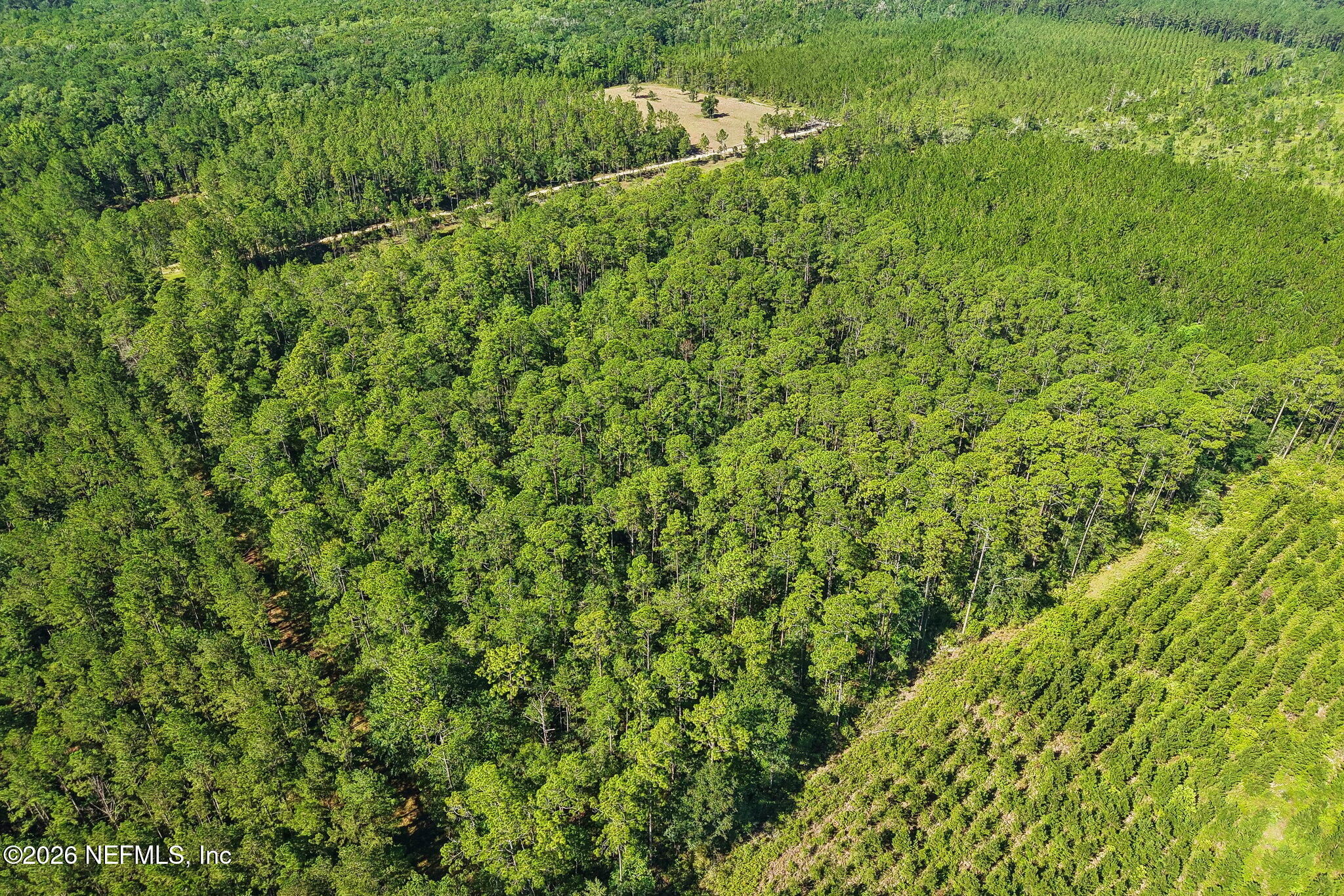 0 Coopers Neck Road Hilliard, FL 32046 - Photo 11 of 15 9-web-or-mls-Coopers Neck Rd-S2506-009