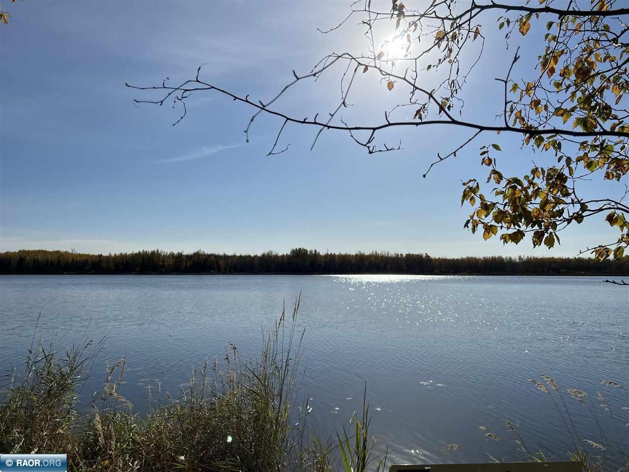 Tbd Elbow Lake Road Iron, MN 55751 - Photo 4 of 29