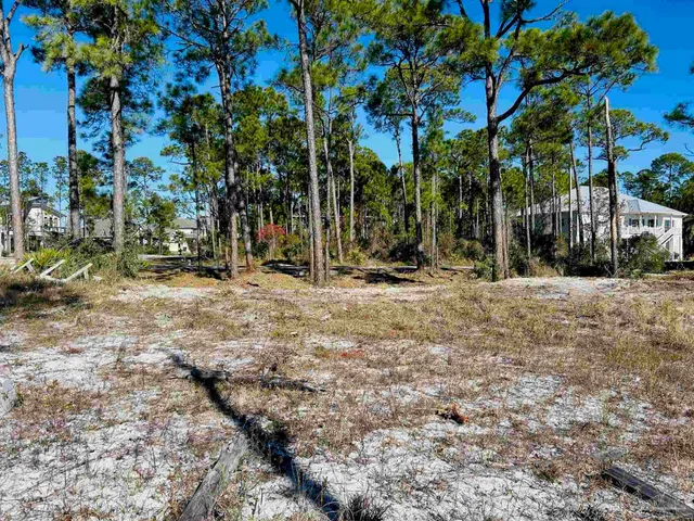 a view of a park with tree