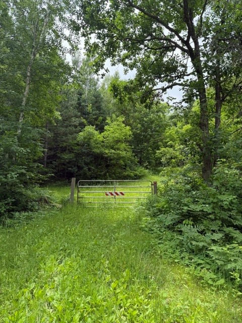 20-acres North 5th Avenue Spooner, WI 54801 - Photo 8 of 12