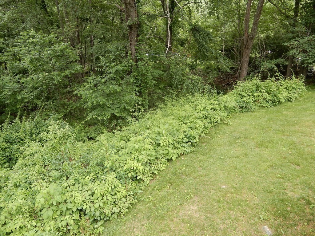 15 Donnelly Road Spencer, MA 01562 - Photo 8 of 34 Gallery Image 8