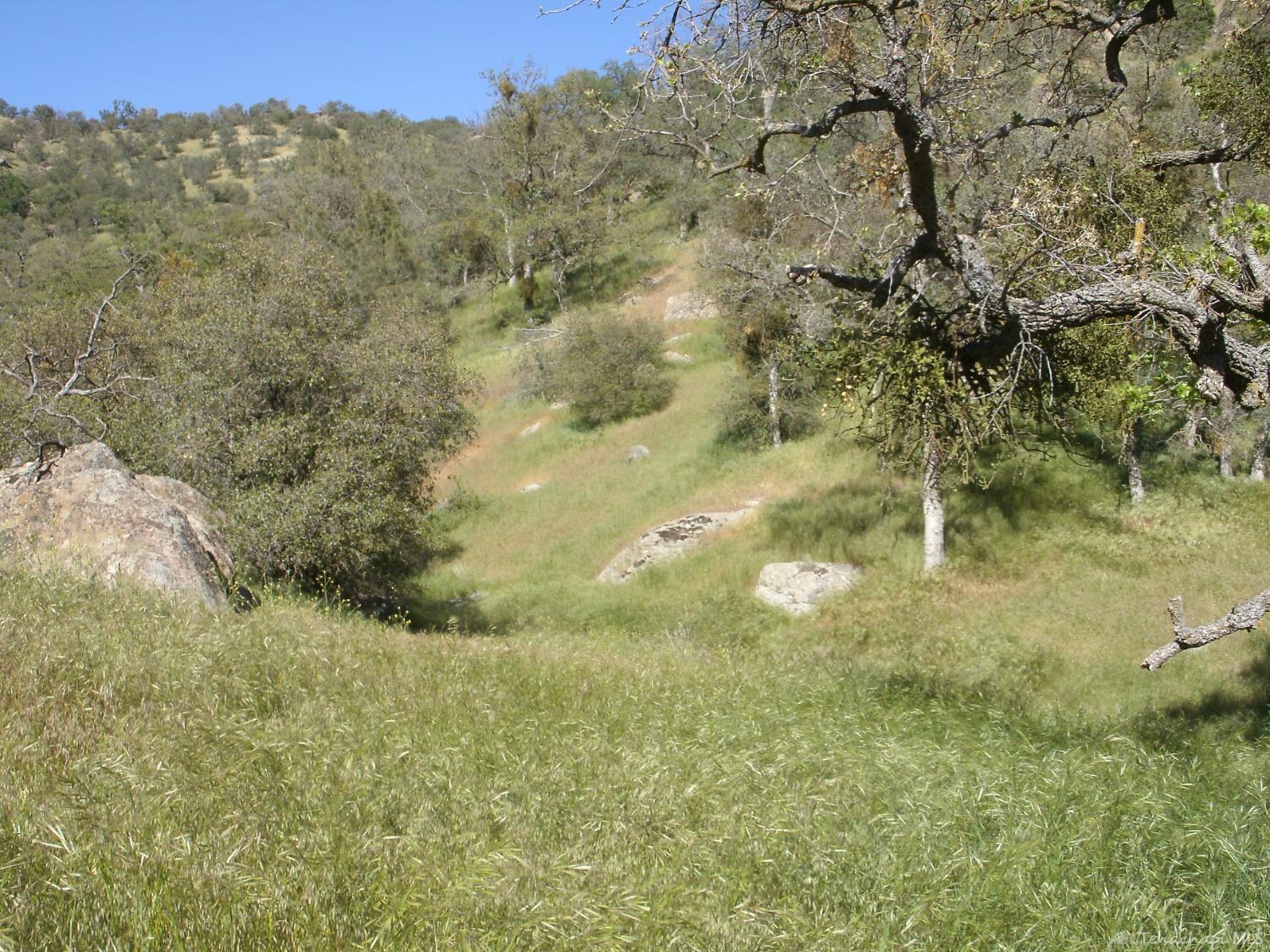 0 Jack Springs Road Tehachapi, CA 93561 - Photo 10 of 17 Gallery Image 10