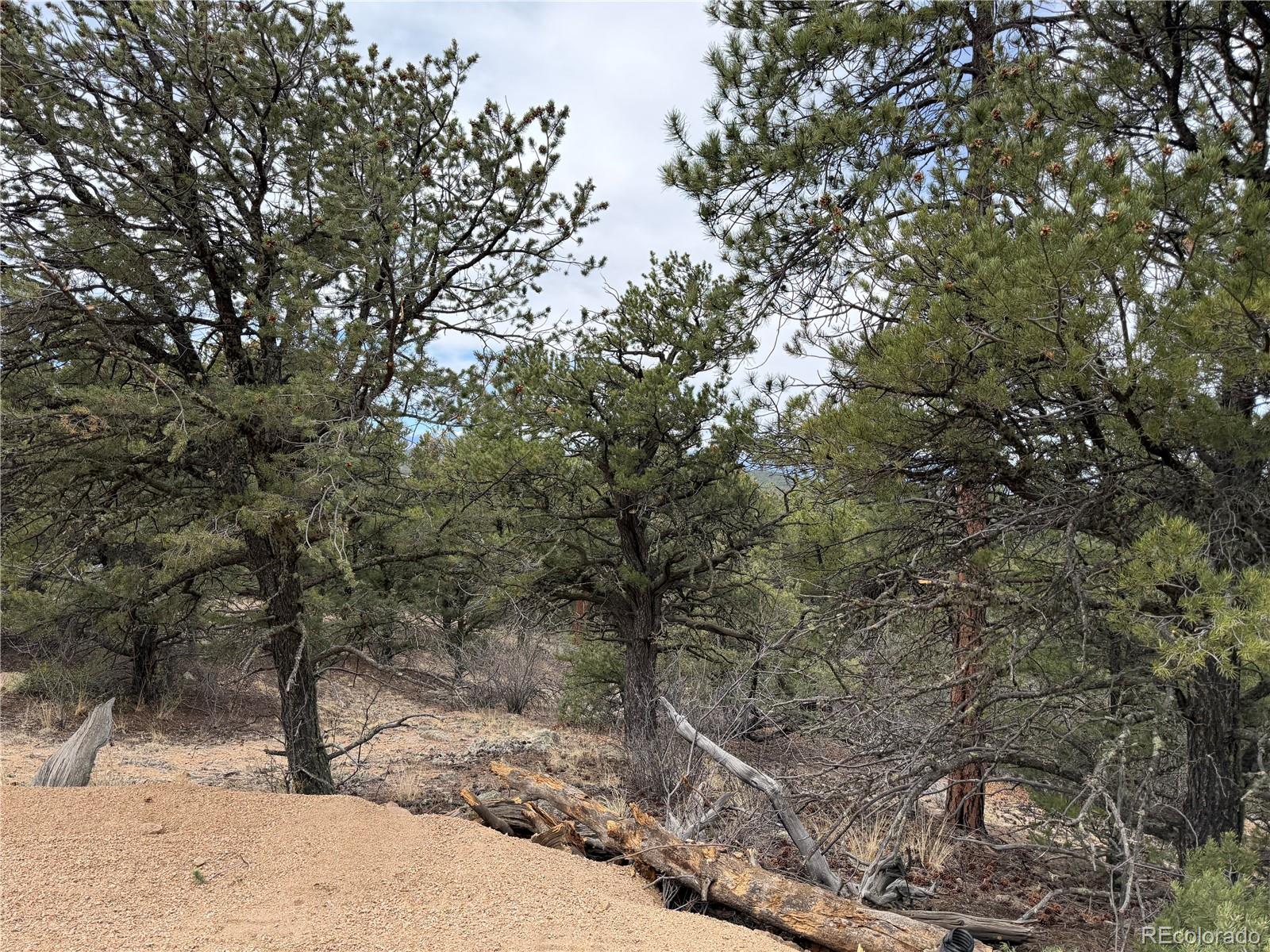 672 Coyote Run Road Cotopaxi, CO 81223 - Photo 2 of 26