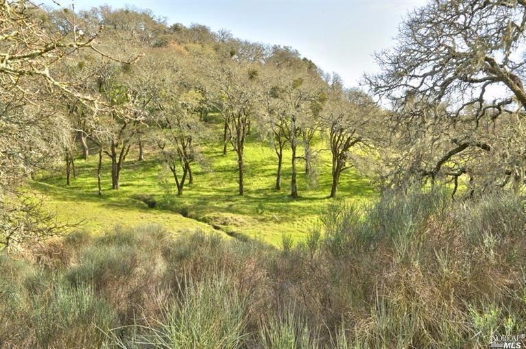 138 Angela Drive Santa Rosa, CA 95403 - Photo 1 of 1
