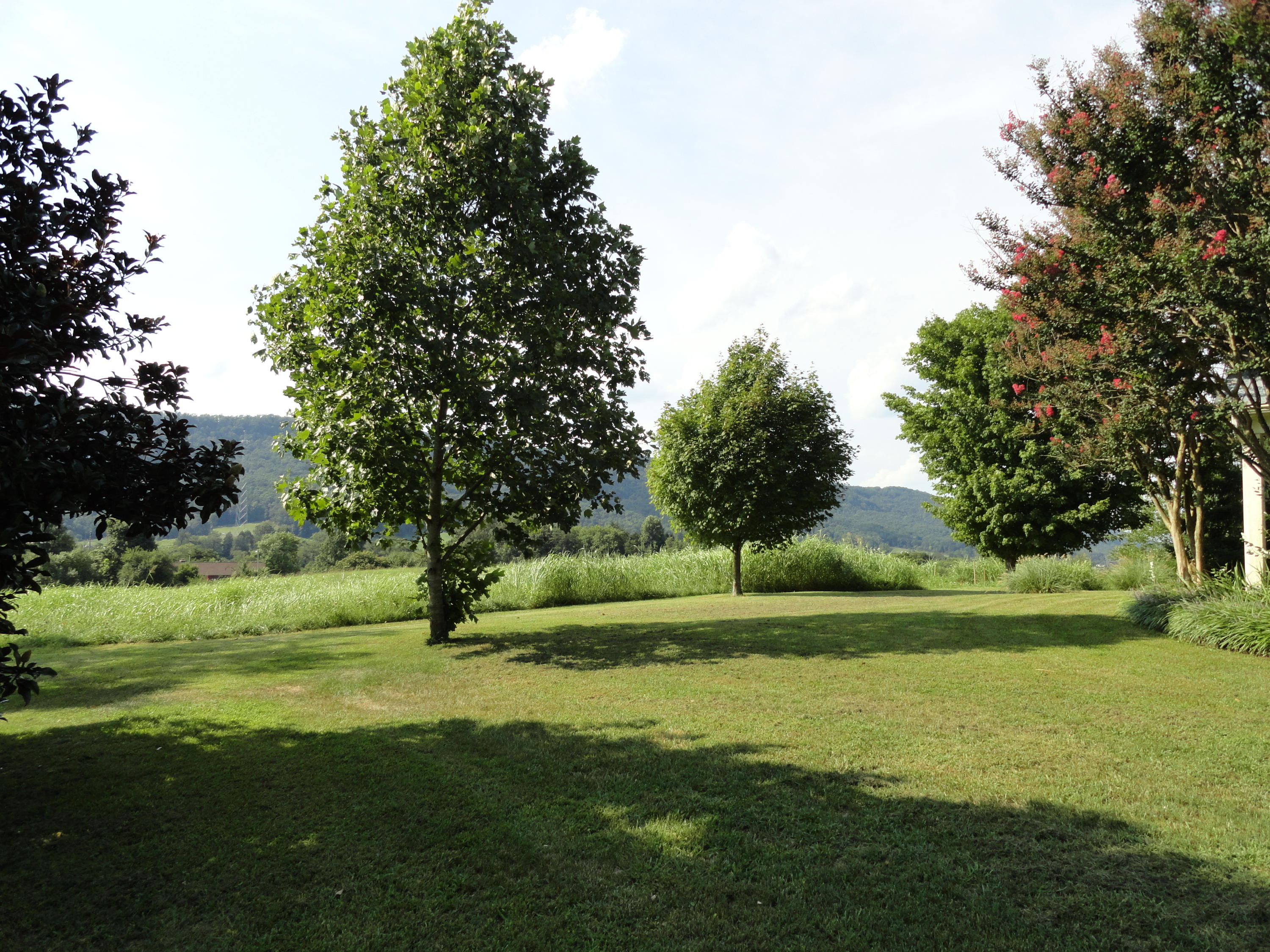 3892 Dutch Valley Road Clinton, TN 37716 - Photo 3 of 40 DSC07226