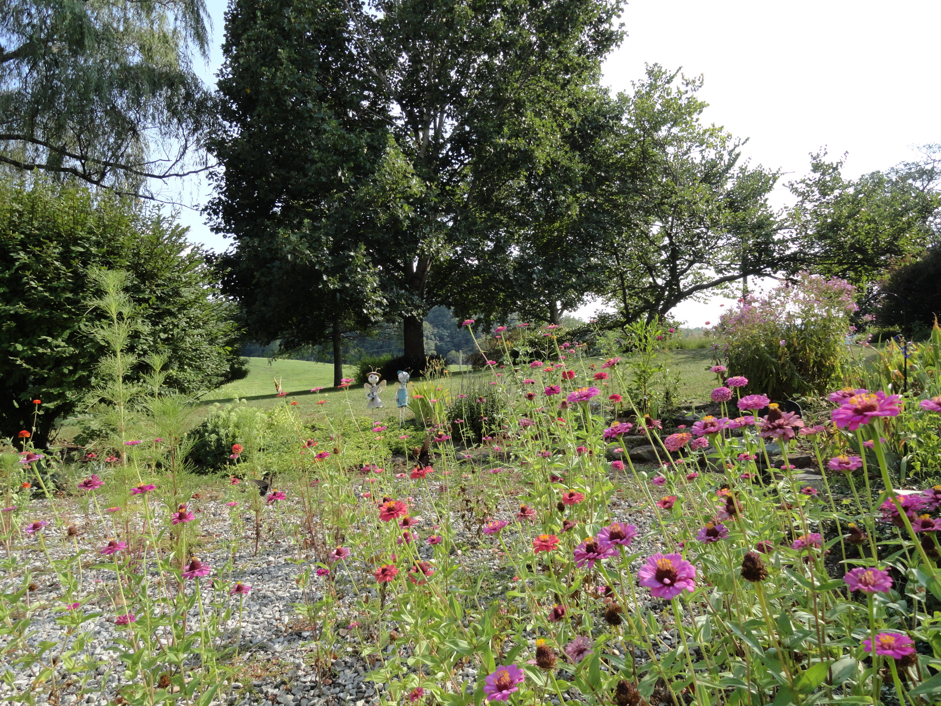 3892 Dutch Valley Road Clinton, TN 37716 - Photo 35 of 40 DSC07285