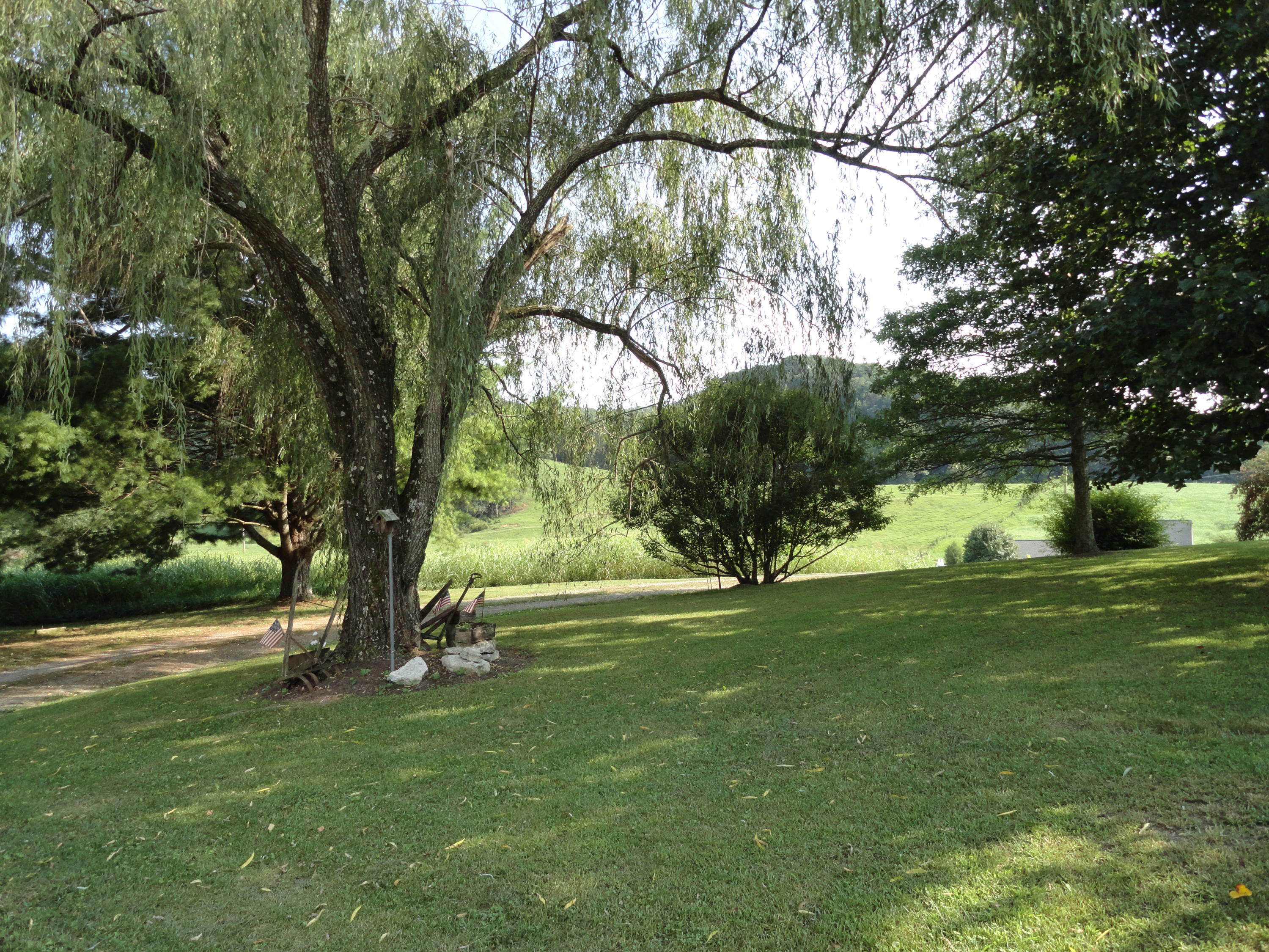 3892 Dutch Valley Road Clinton, TN 37716 - Photo 36 of 40 DSC07287