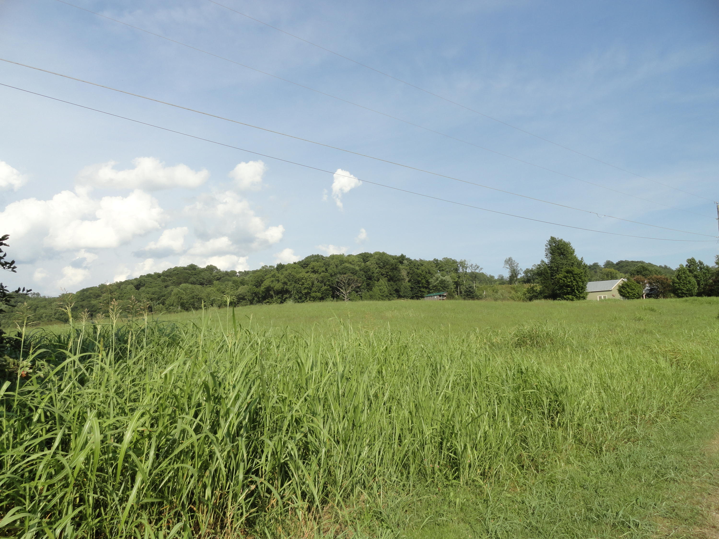 3892 Dutch Valley Road Clinton, TN 37716 - Photo 38 of 40 DSC07291