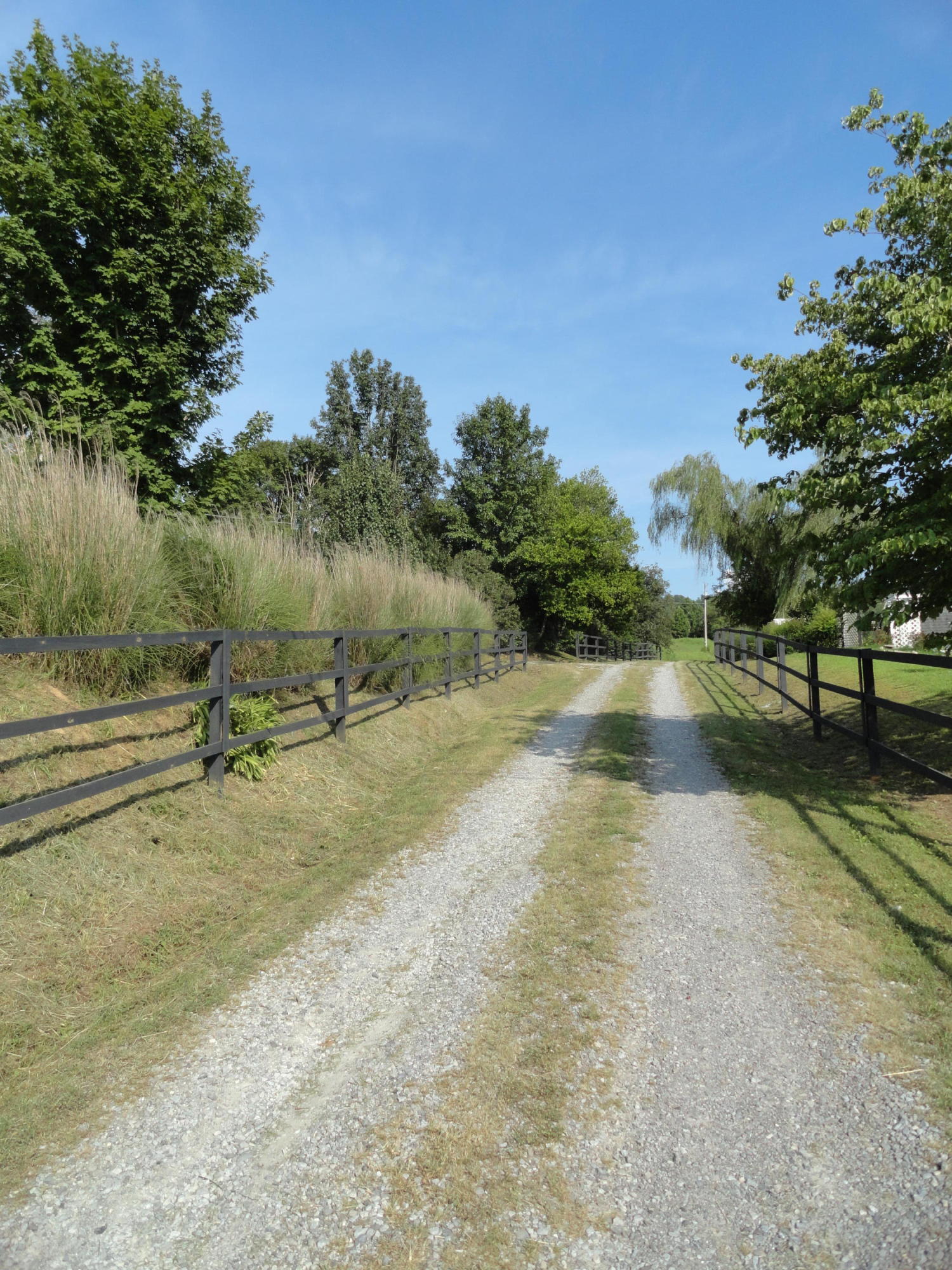 3892 Dutch Valley Road Clinton, TN 37716 - Photo 39 of 40 DSC07292