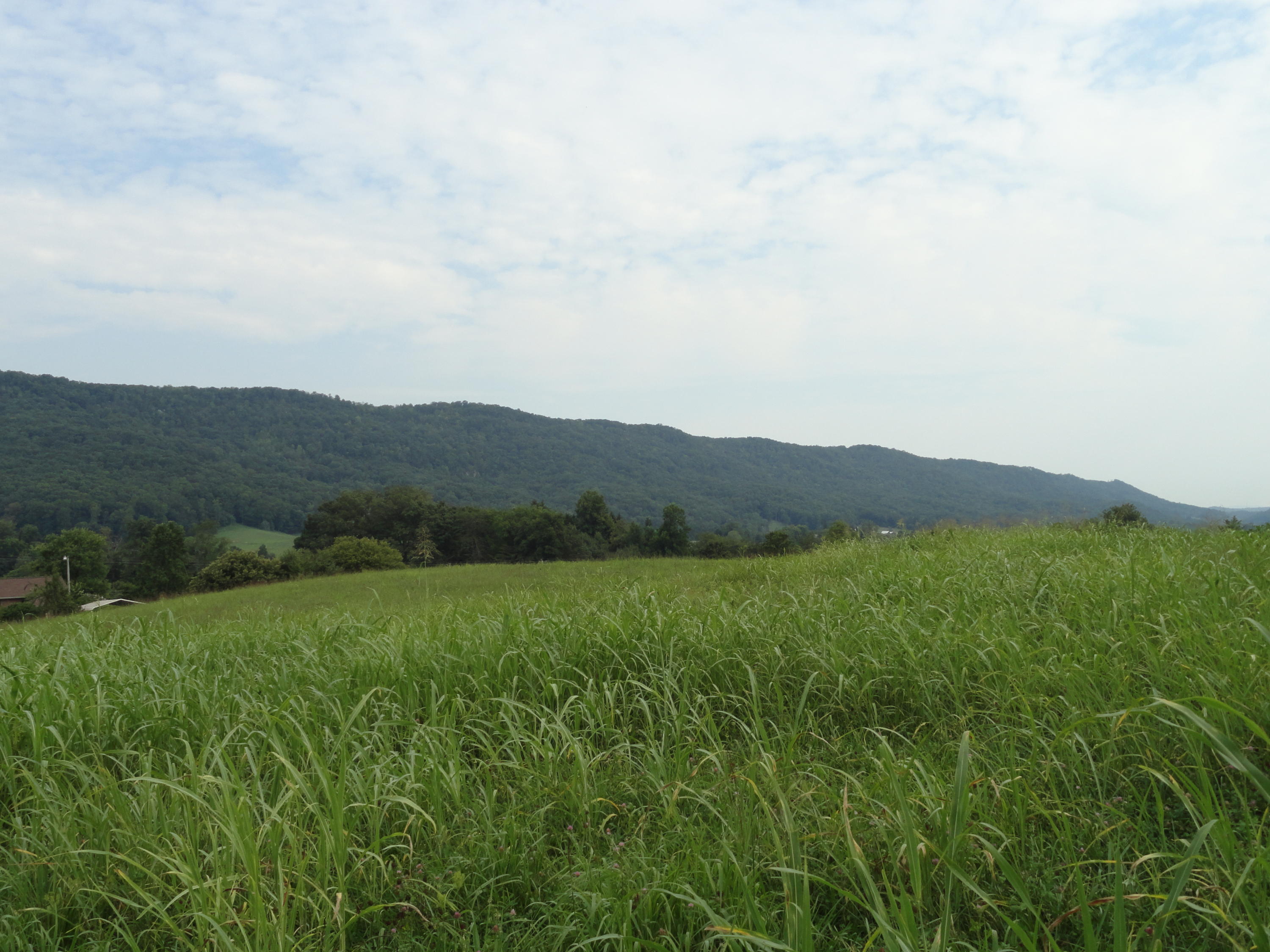 3892 Dutch Valley Road Clinton, TN 37716 - Photo 40 of 40 DSC07294