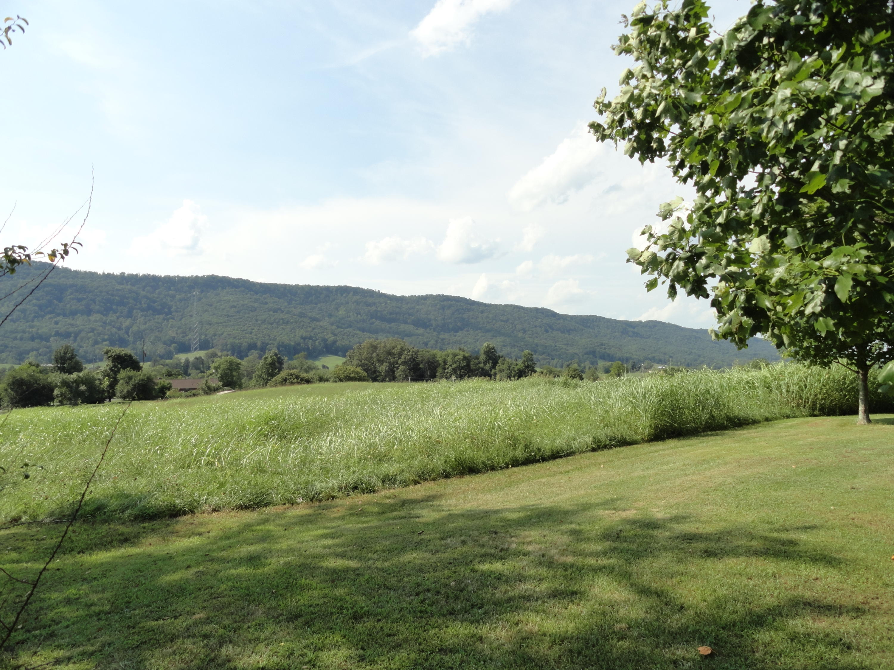 3892 Dutch Valley Road Clinton, TN 37716 - Photo 6 of 40 DSC07229