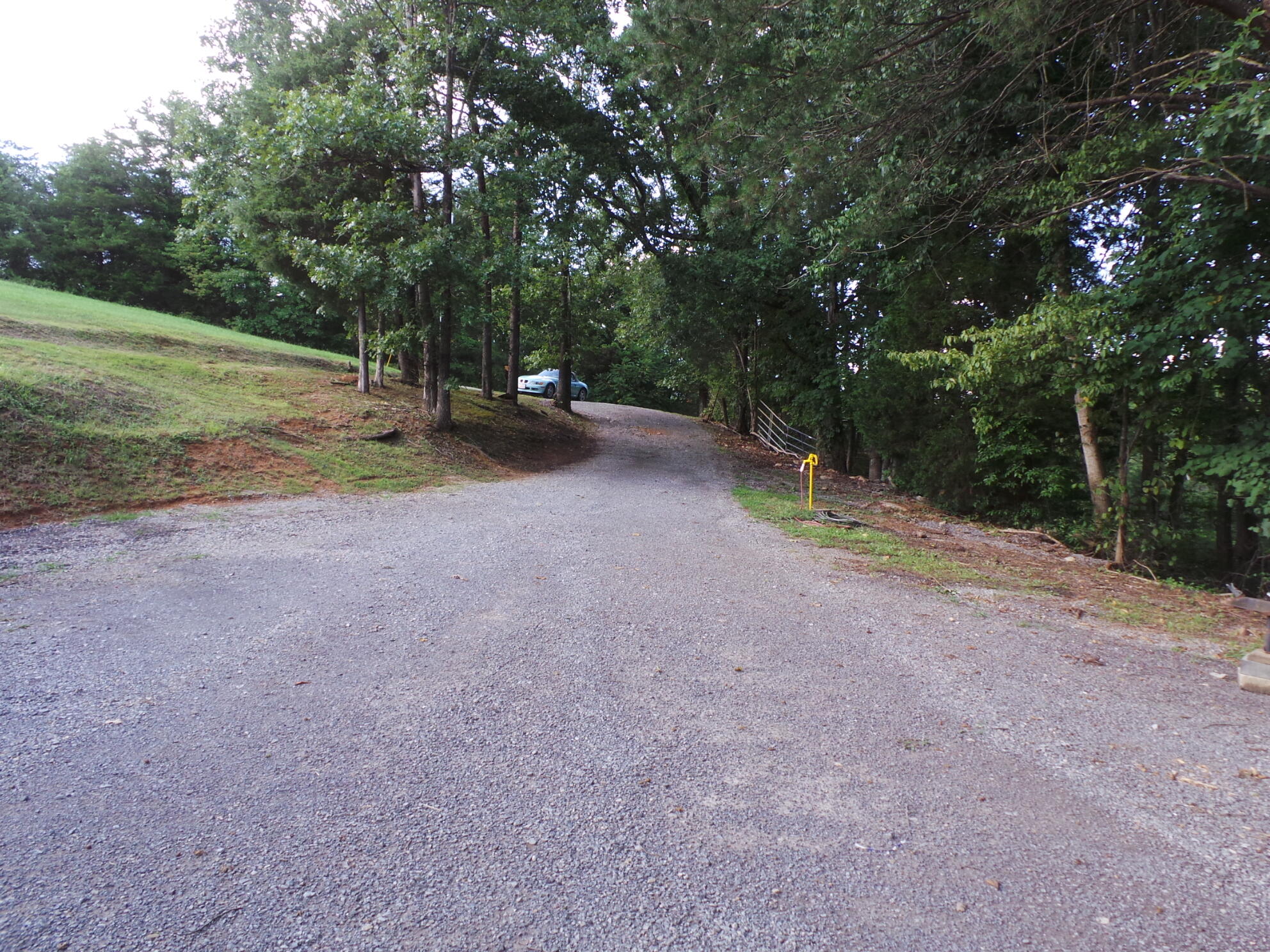3011 Princeton Road Kingsport, TN 37660 - Photo 239 of 301 20210818_171422