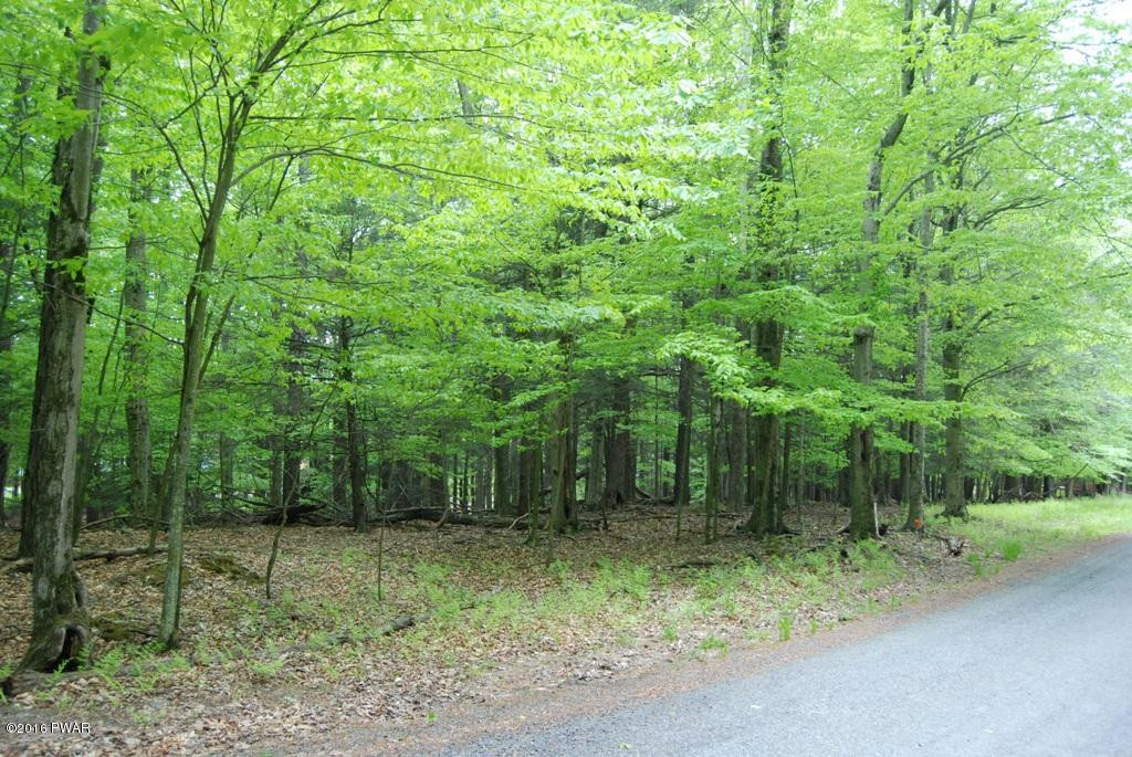 927 Hibernation Road Lake Ariel, PA 18436 - Photo 5 of 14