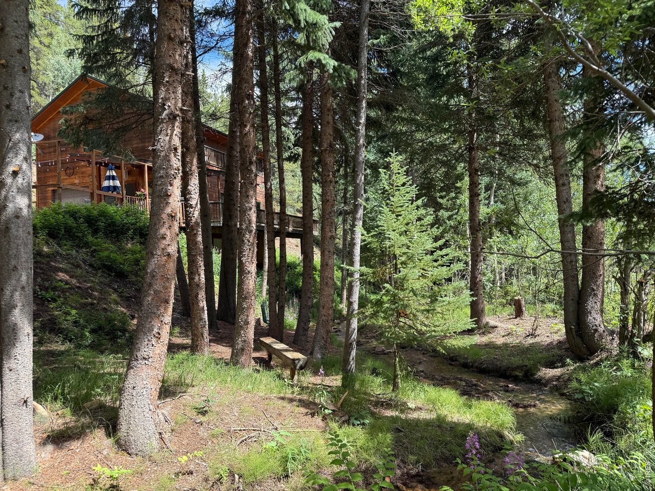 3727 Gamble Gulch Road Black Hawk, CO 80422 - Photo 2 of 32 Gallery Image 2
