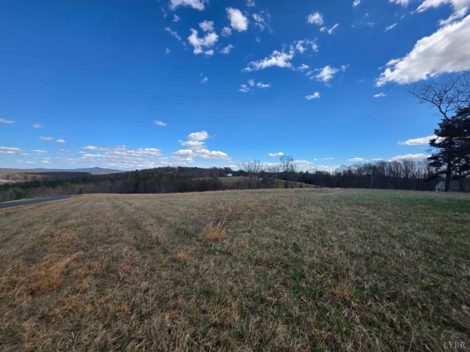 0 Skyline Road Appomattox, VA 24522 - Photo 11 of 21