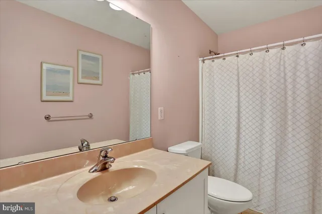 a bathroom with a sink a toilet a mirror and shower