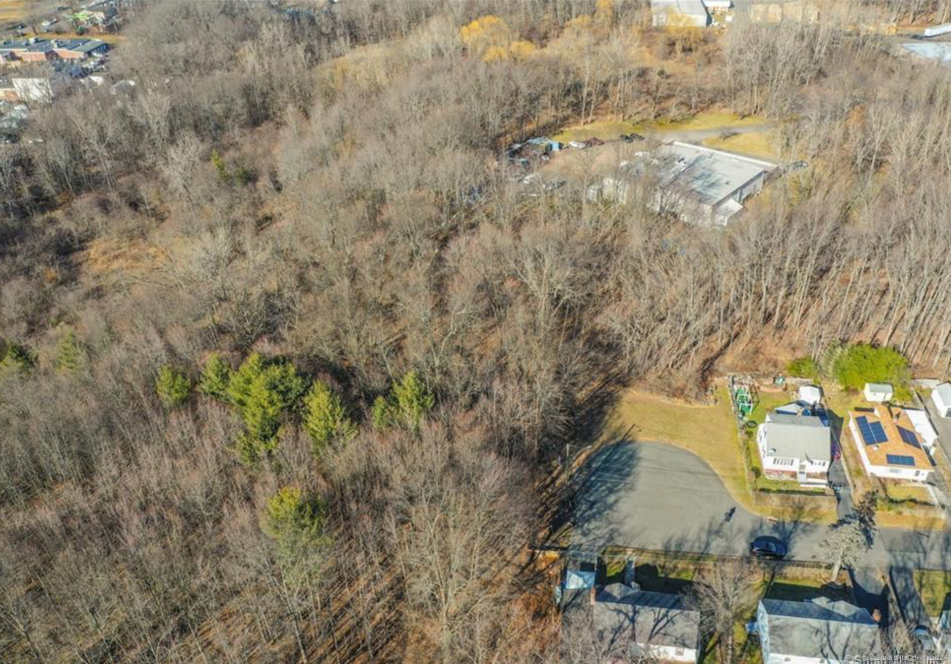 180 Brookline Avenue Bloomfield, CT 06002 - Photo 4 of 20 a view of beach and tree