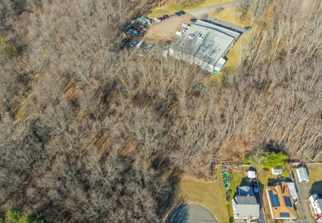 a view of a tree in a yard