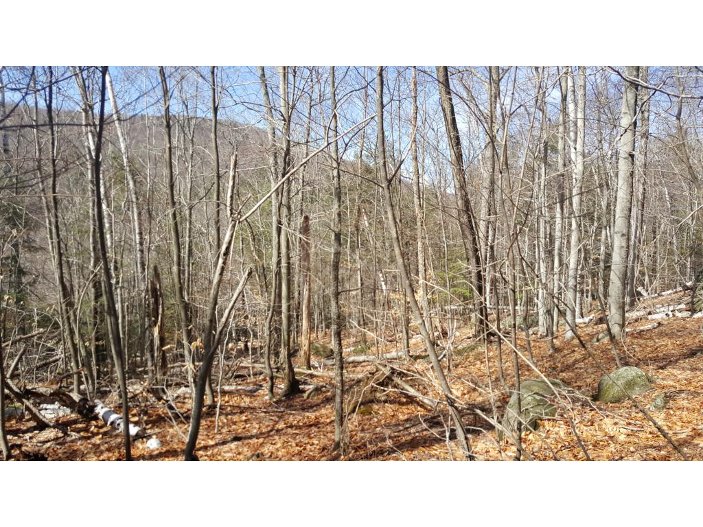 277 Chalk Pond Road Newbury, NH 03255 - Photo 2 of 16