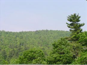 277 Chalk Pond Road Newbury, NH 03255 - Photo 11 of 16