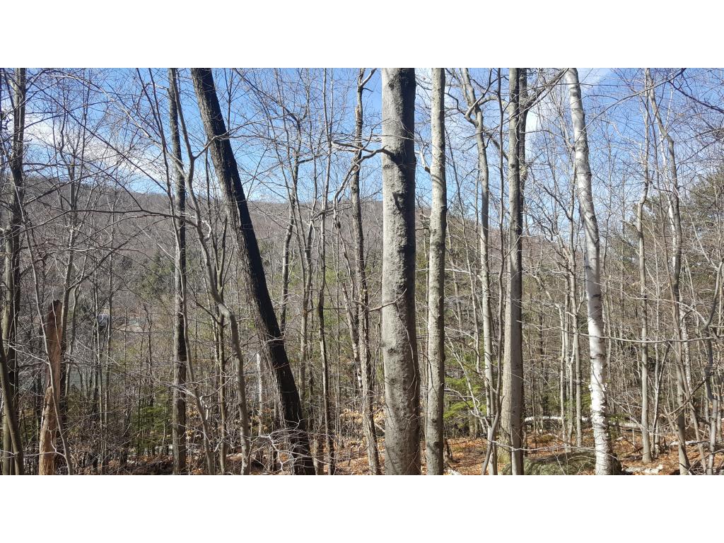 277 Chalk Pond Road Newbury, NH 03255 - Photo 4 of 16