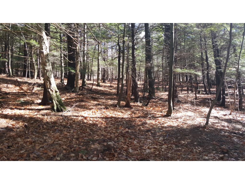 277 Chalk Pond Road Newbury, NH 03255 - Photo 5 of 16