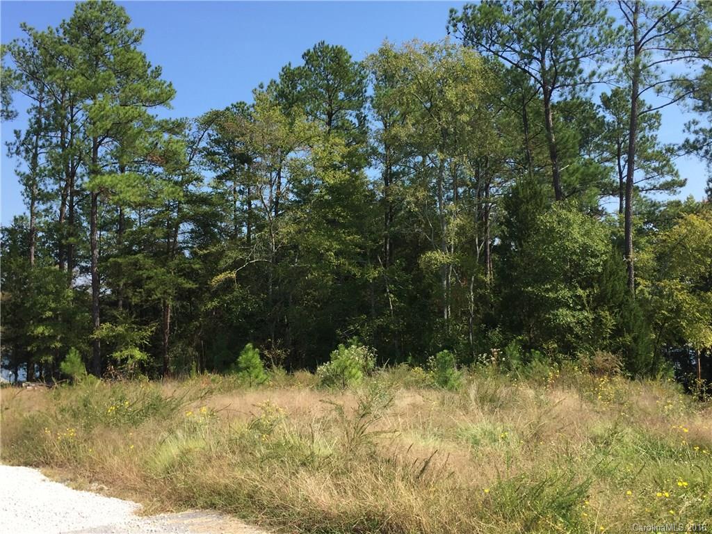 2558 Enchanto Road York, SC 29745 - Photo 1 of 6 Gallery Image 1