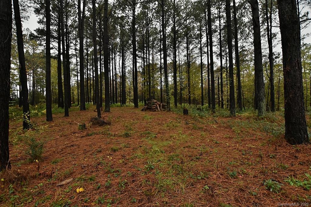 5270 Mobley Store Road McConnells, SC 29726 - Photo 21 of 21