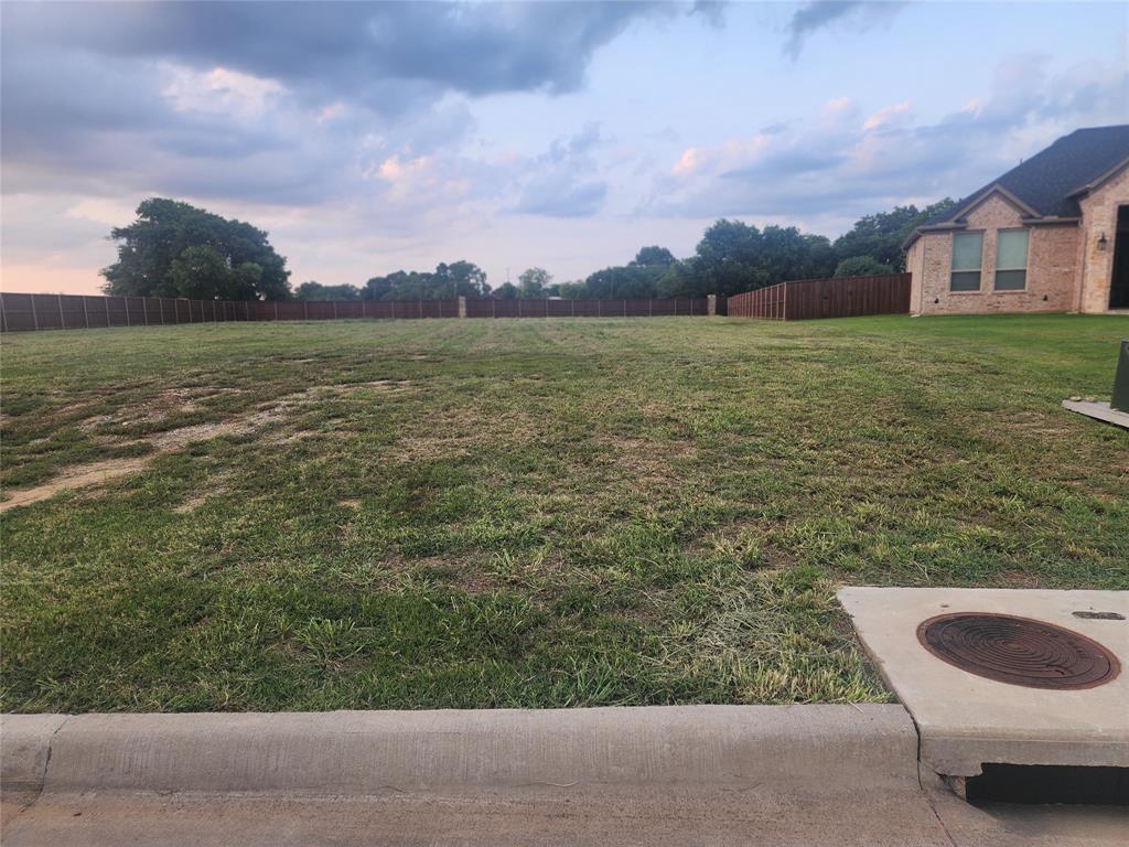 124 Chisolm Trail Pottsboro, TX 75076 - Photo 12 of 15 View of yard featuring fence