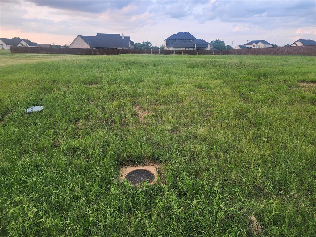 124 Chisolm Trail Pottsboro, TX 75076 - Photo 6 of 15 View of yard with fence