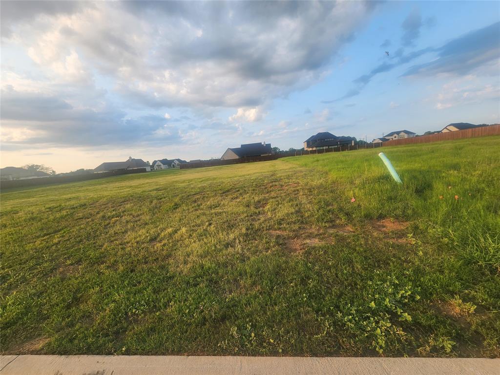 124 Chisolm Trail Pottsboro, TX 75076 - Photo 8 of 15 View of yard