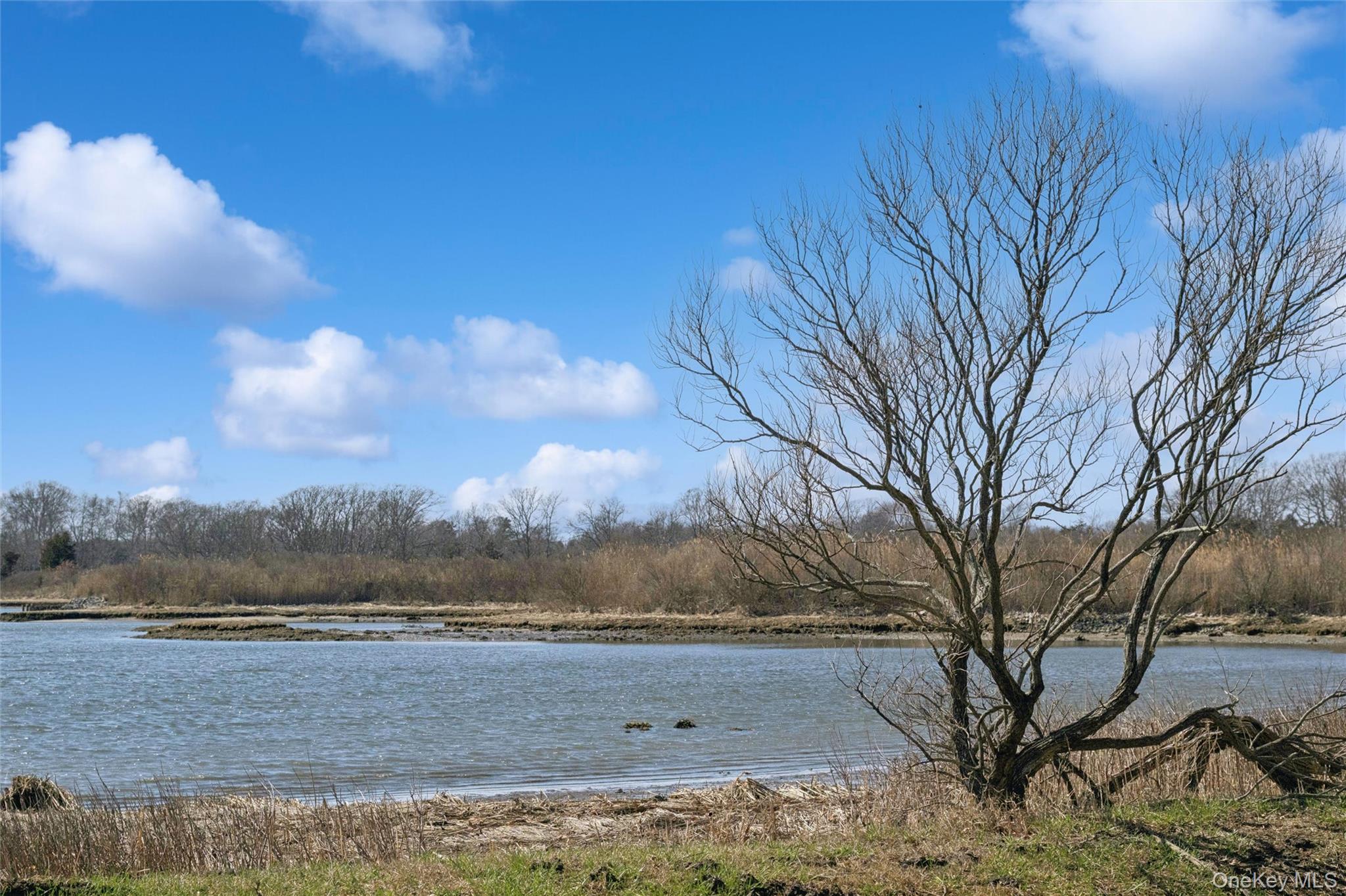 250 Oak Road New Suffolk, NY 11956 - Photo 21 of 23